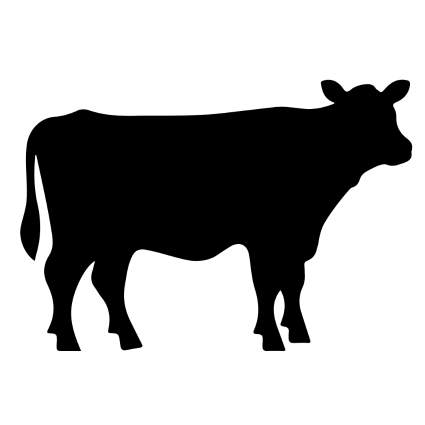 Beef & Bison Processing