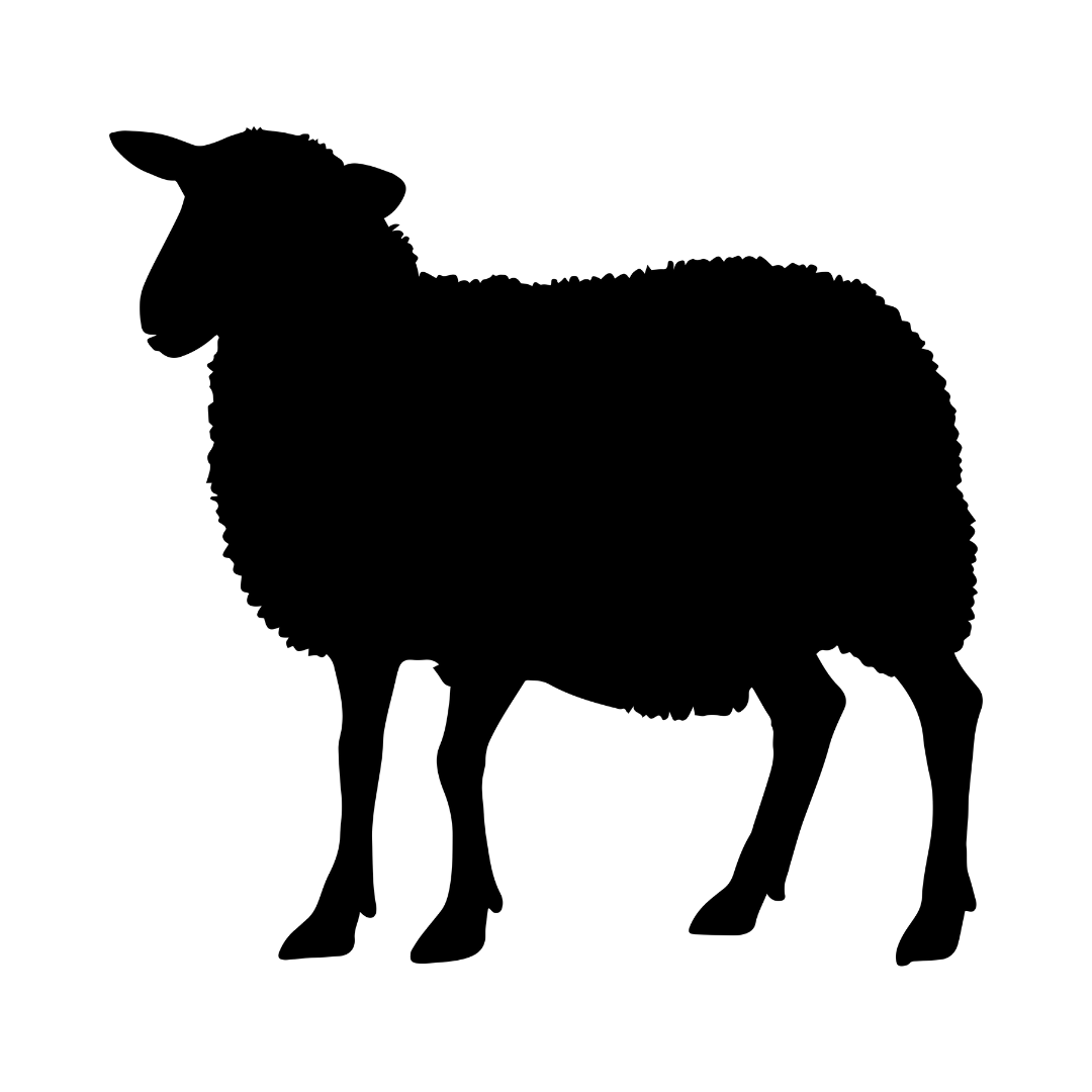 Sheep/Lamb Processing